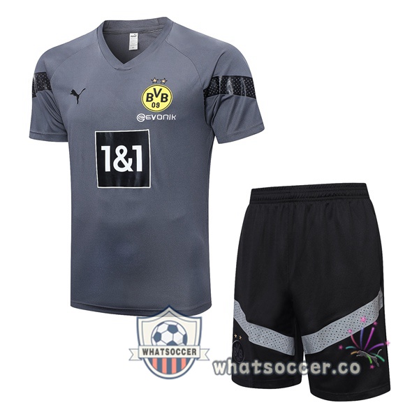 Dortmund BVB Training T-Shirts + Shorts Gray 2023-2024