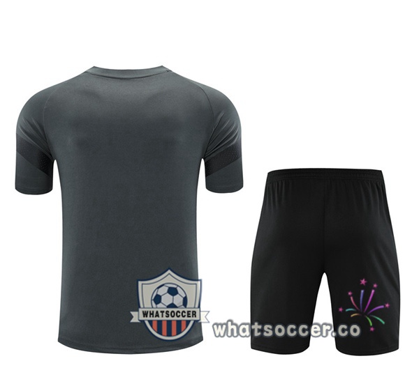 Dortmund BVB Training T-Shirts + Shorts Gray 2023-2024