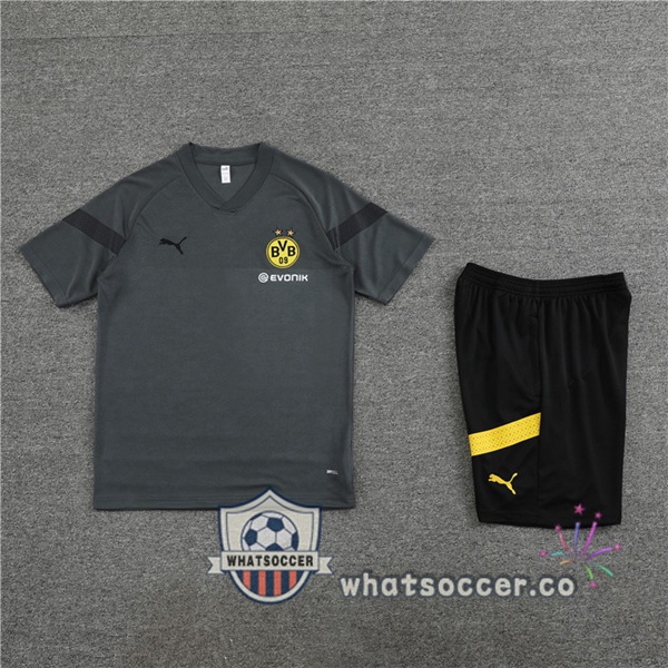 Dortmund BVB Training T-Shirts + Shorts Gray 2023-2024