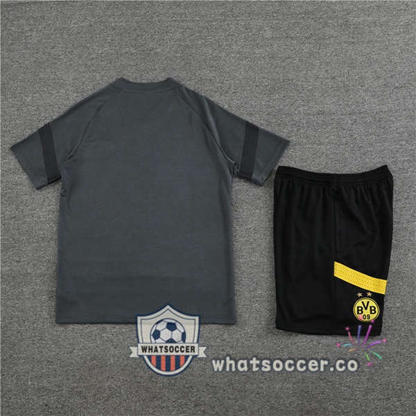 Dortmund BVB Training T-Shirts + Shorts Gray 2023-2024