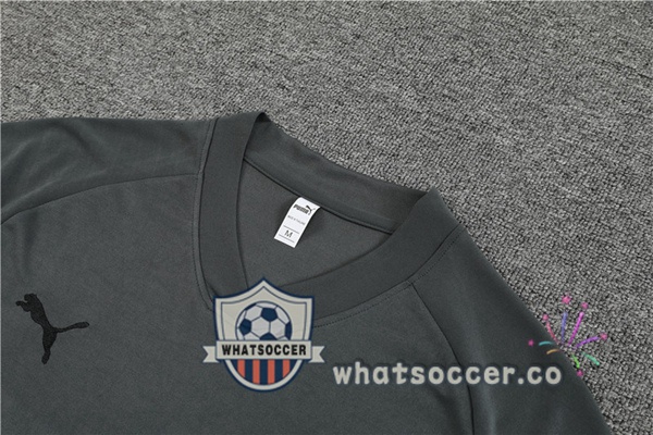 Dortmund BVB Training T-Shirts + Shorts Gray 2023-2024