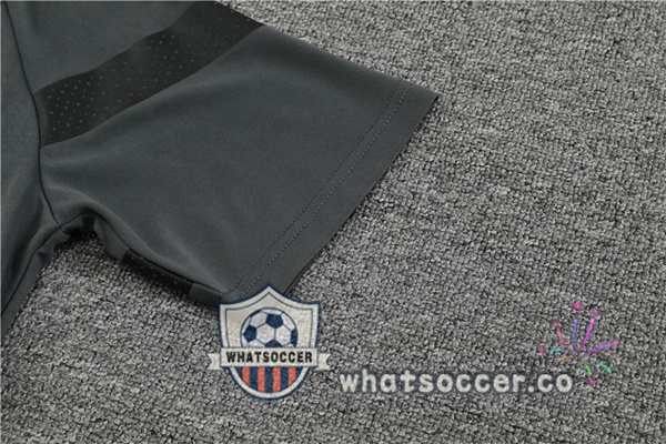 Dortmund BVB Training T-Shirts + Shorts Gray 2023-2024