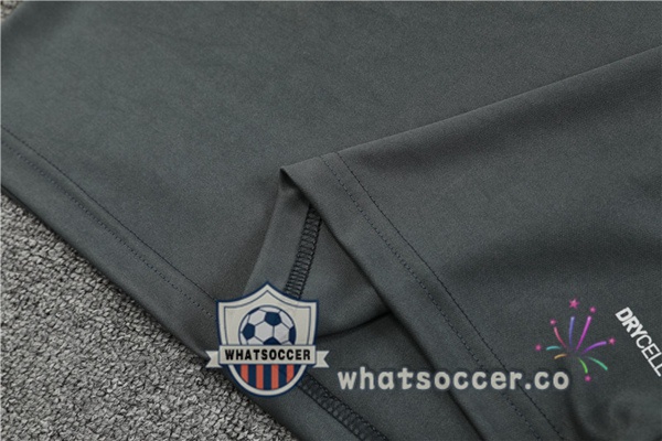 Dortmund BVB Training T-Shirts + Shorts Gray 2023-2024