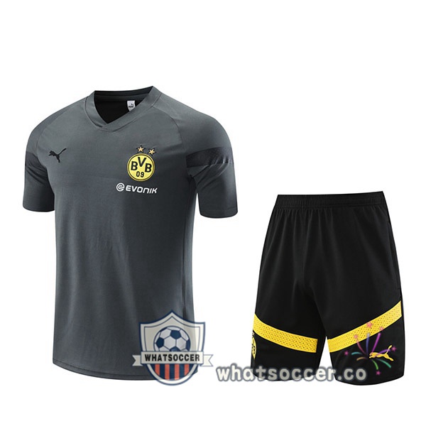 Dortmund BVB Training T-Shirts + Shorts Gray 2023-2024