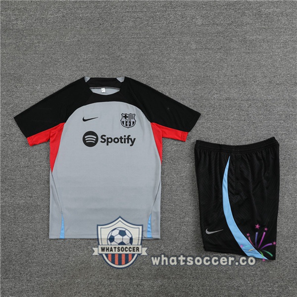 FC Barcelona Training T-Shirts + Shorts Gray 2023-2024