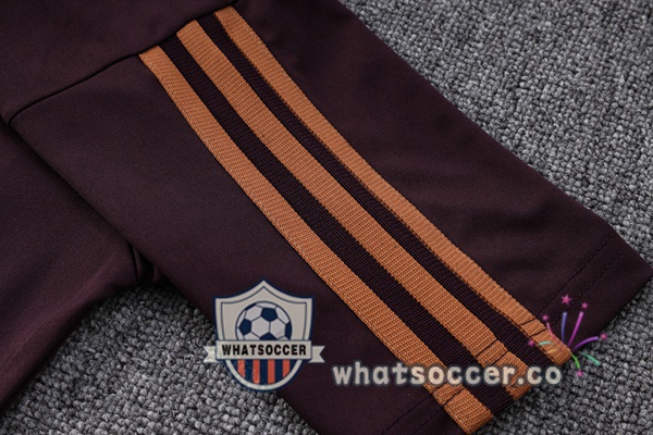Training Polo Germany + Pants Marron 2023-2024