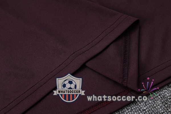 Training Polo Germany + Pants Marron 2023-2024