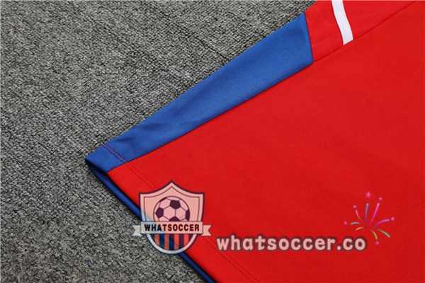 Bayern Munich Red Tracksuit 2023-2024