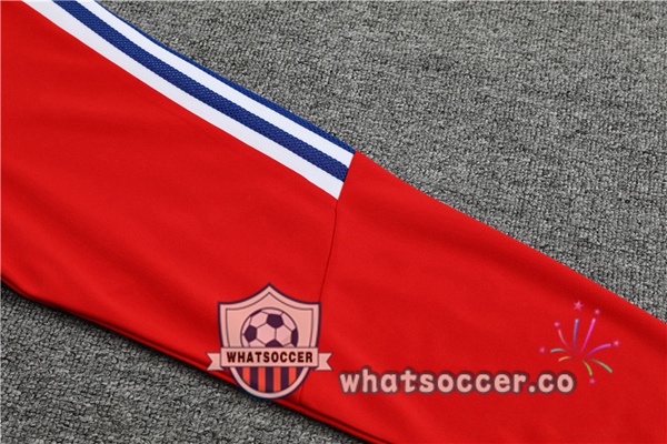 Bayern Munich High Collar Red Tracksuit 2023-2024
