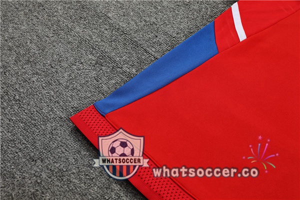 Bayern Munich High Collar Red Tracksuit 2023-2024