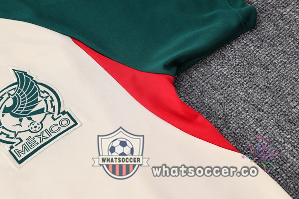 Mexico Training T-Shirts + Pants Marron 2023-2024