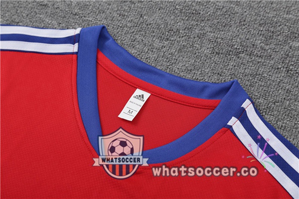 Bayern Munich Training T-Shirts + Shorts Red 2023-2024