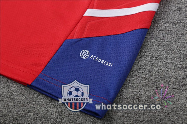 Bayern Munich Training T-Shirts + Shorts Red 2023-2024