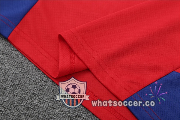 Bayern Munich Training T-Shirts + Shorts Red 2023-2024