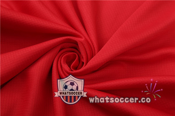 Bayern Munich Training T-Shirts + Shorts Red 2023-2024