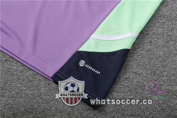 Real Madrid Training T-Shirts + Shorts Purple 2023-2024