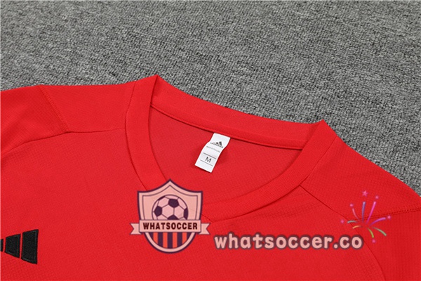 Flamengo Training T-Shirts + Shorts Red 2023-2024