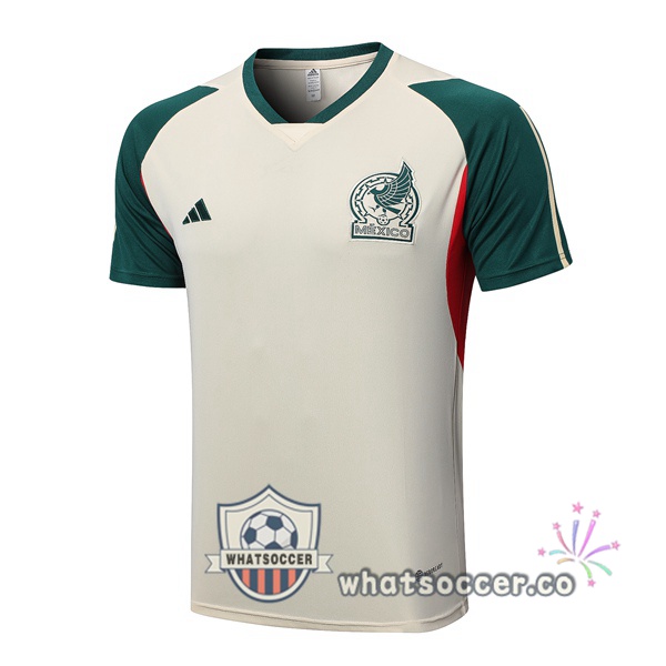 Mexico Training T-Shirts Marron 2023-2024