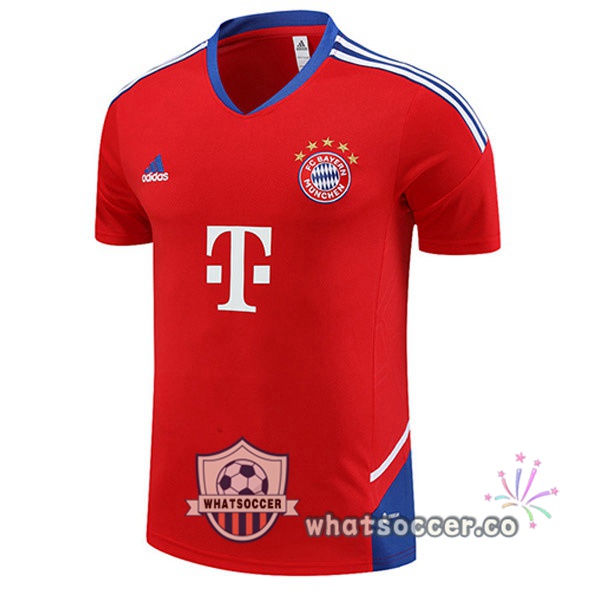 Bayern Munich Training T-Shirts Red 2023-2024