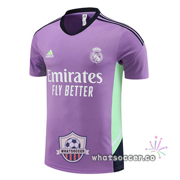 Real Madrid Training T-Shirts Purple 2023-2024