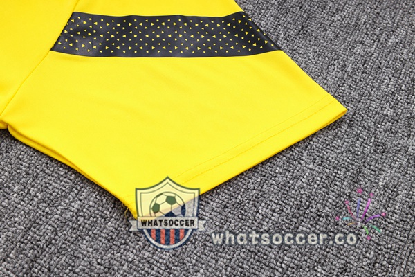 Training Polo Dortmund BVB + Pants Yellow 2023-2024