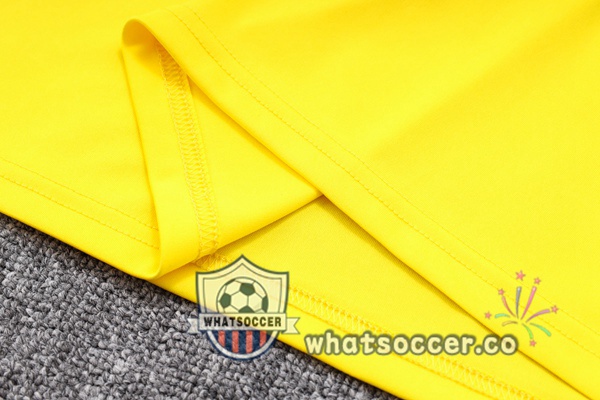 Training Polo Dortmund BVB + Pants Yellow 2023-2024