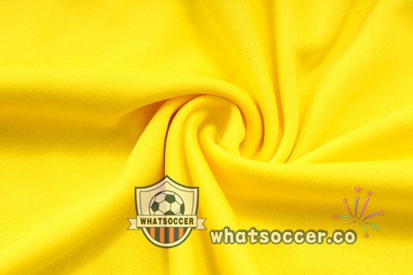 Training Polo Dortmund BVB + Pants Yellow 2023-2024
