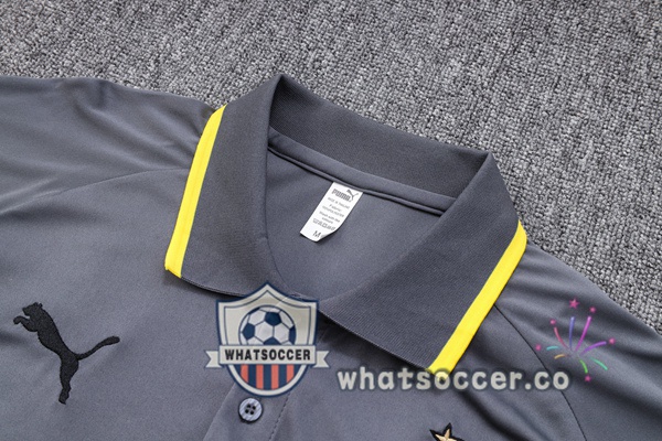 Training Polo Dortmund BVB + Pants Gray 2023-2024