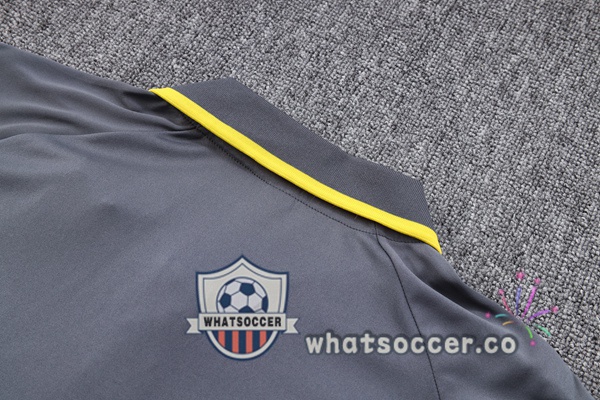 Training Polo Dortmund BVB + Pants Gray 2023-2024