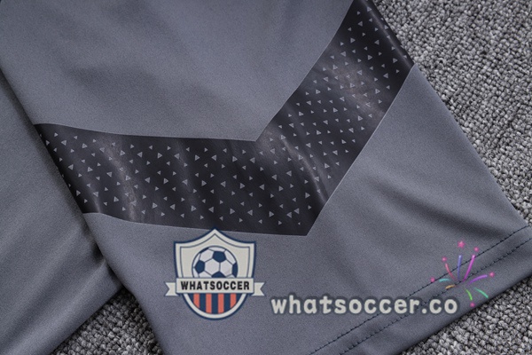 Training Polo Dortmund BVB + Pants Gray 2023-2024
