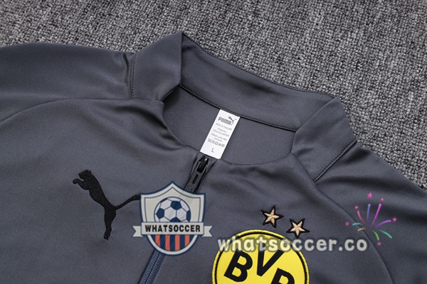 Dortmund BVB Gray Tracksuit 2023-2024