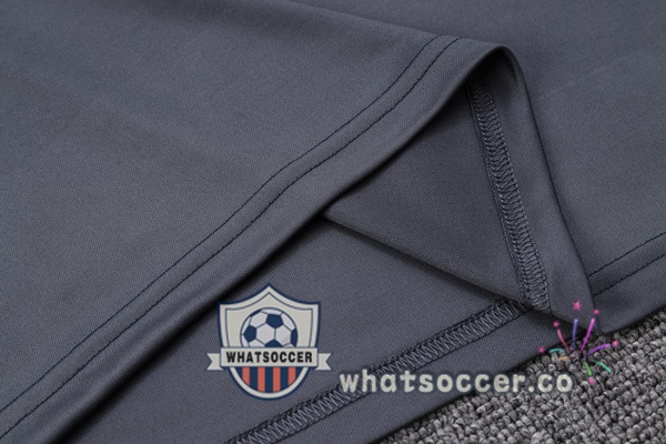 Dortmund BVB Gray Tracksuit 2023-2024