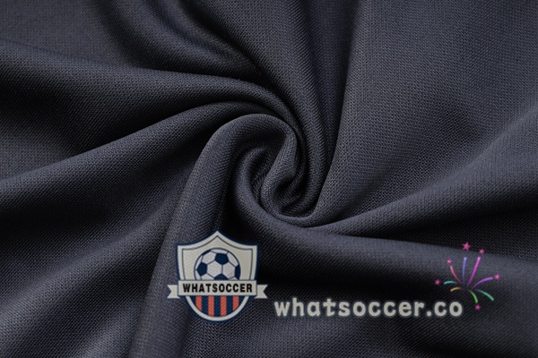 Dortmund BVB Gray Tracksuit 2023-2024