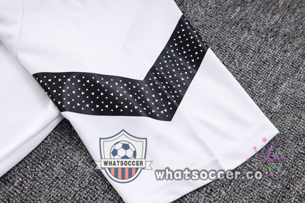 Dortmund BVB Training T-Shirts + Shorts White 2023-2024