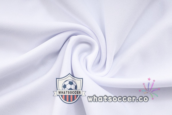 Dortmund BVB Training T-Shirts + Shorts White 2023-2024