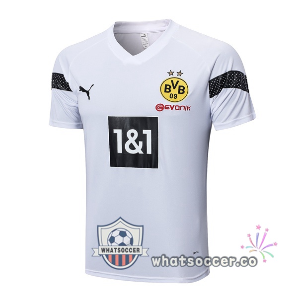 Dortmund BVB Training T-Shirts White 2023-2024