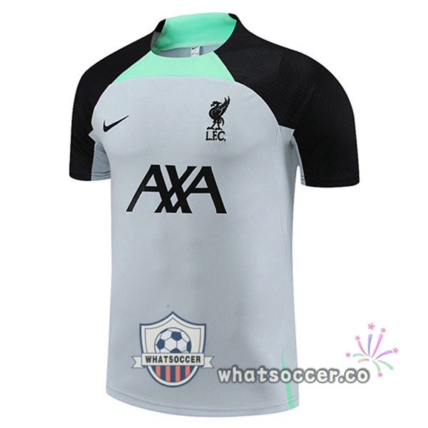 FC Liverpool Training T-Shirts Gray 2023-2024