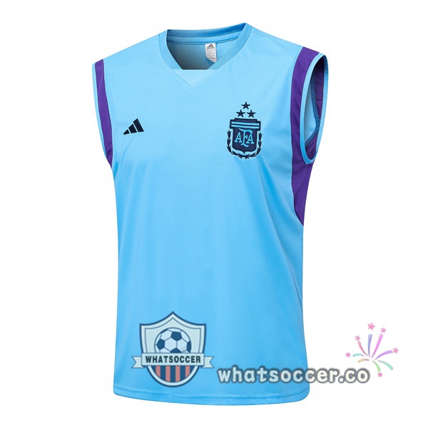 Argentina Blue Soccer Vest 2023-2024