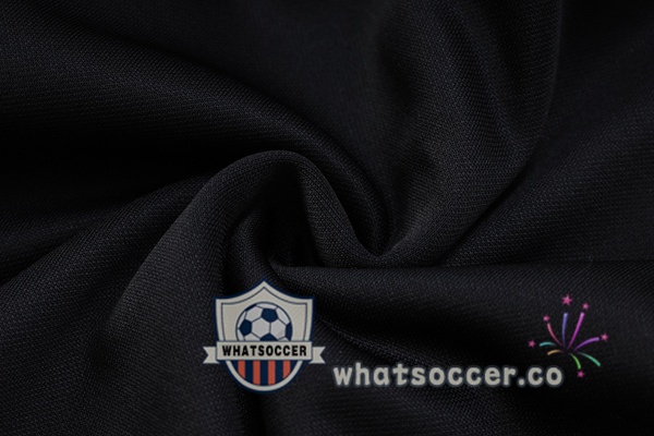 Bayern Munich Black Hooded Jacket 2023-2024