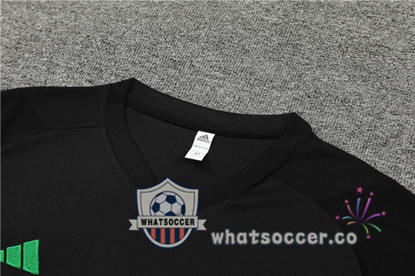 Bayern Munich Training T-Shirts + Shorts Black 2023-2024