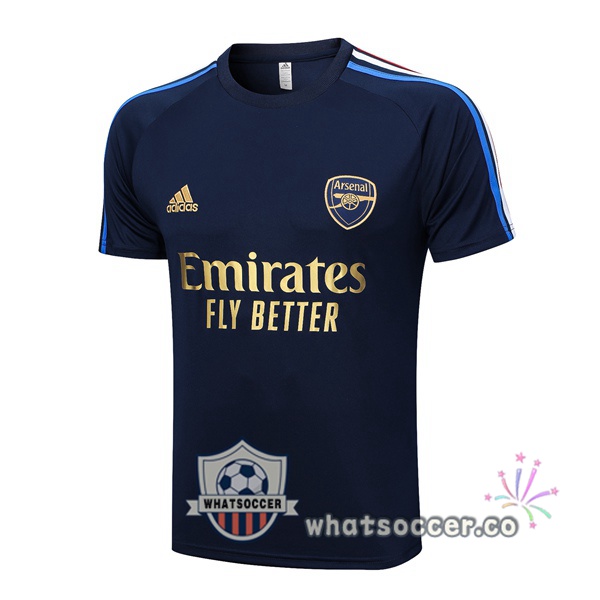 Arsenal Training T-Shirts Blue Royal 2023-2024