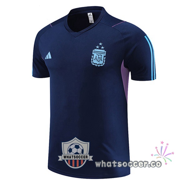 Argentina Training T-Shirts Blue Royal 2023-2024
