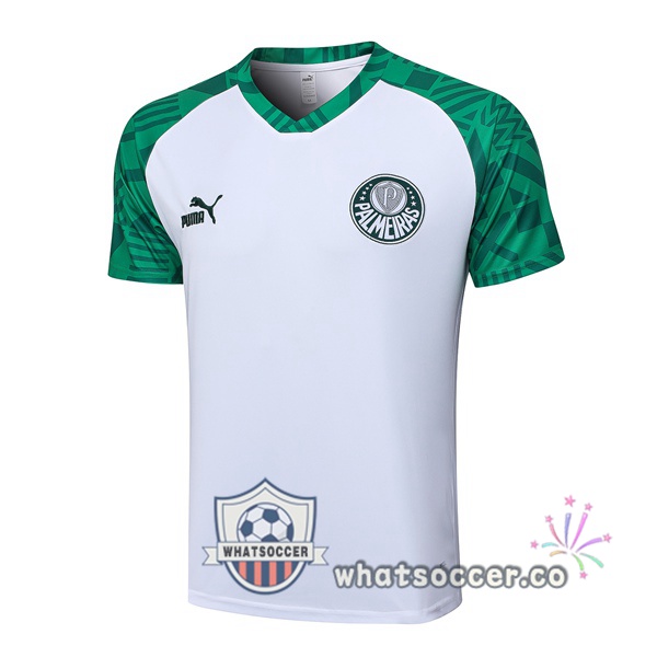 Palmeiras Training T-Shirts White 2023-2024