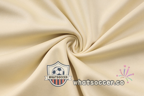 Paris PSG Marron Tracksuit 2023-2024