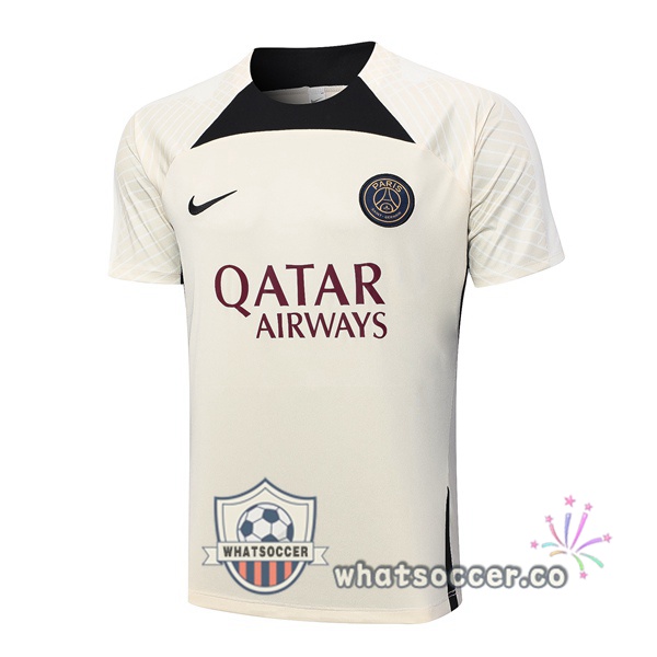 Paris PSG Training T-Shirts Marron 2023-2024