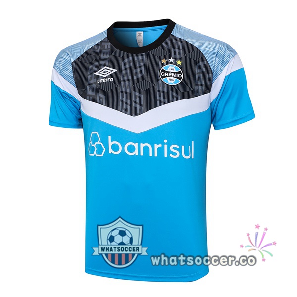 Gremio Training T-Shirts Blue 2023-2024