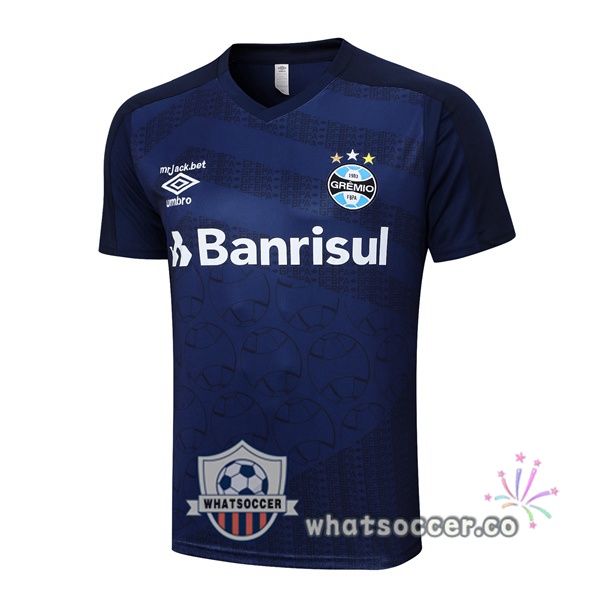 Gremio Training T-Shirts Blue Royal 2023-2024