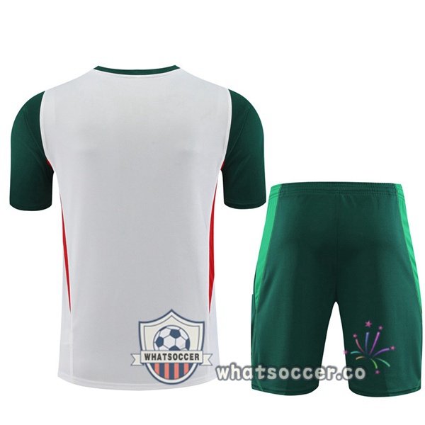 Mexico Training T-Shirts + Shorts White 2023-2024