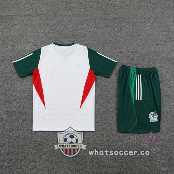 Mexico Training T-Shirts + Shorts White 2023-2024