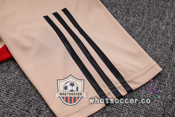 Sao Paulo FC Training T-Shirts + Shorts Marron 2023-2024
